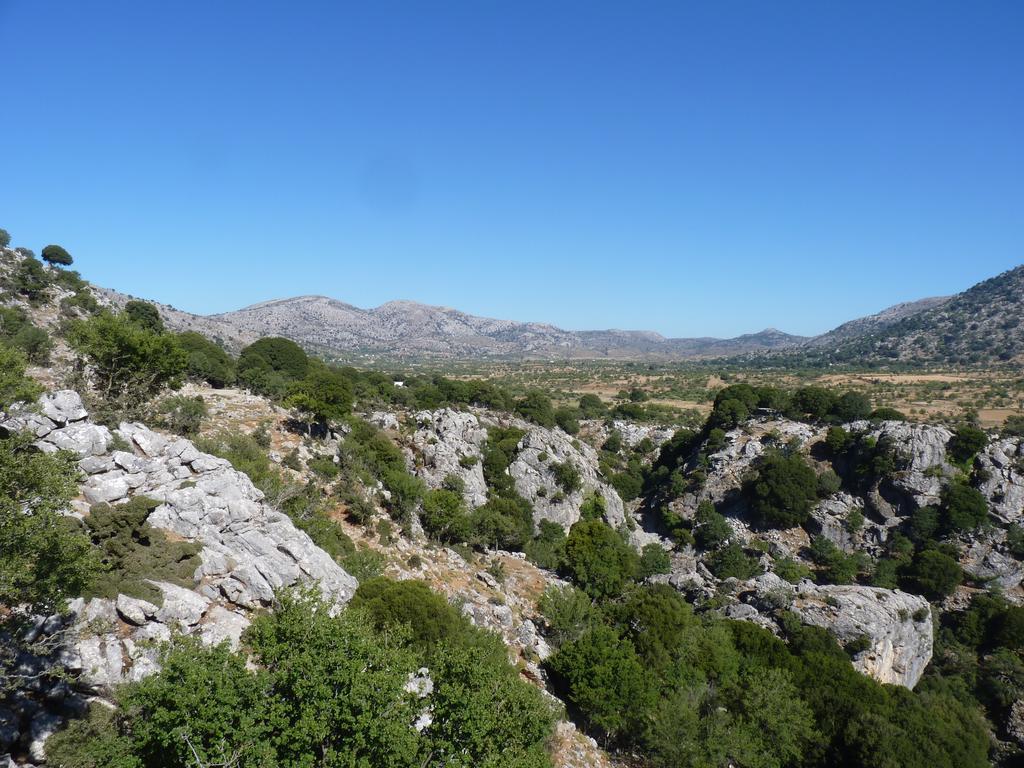 Maison Kronio Lassithi Plateau Marmaketon Cameră foto